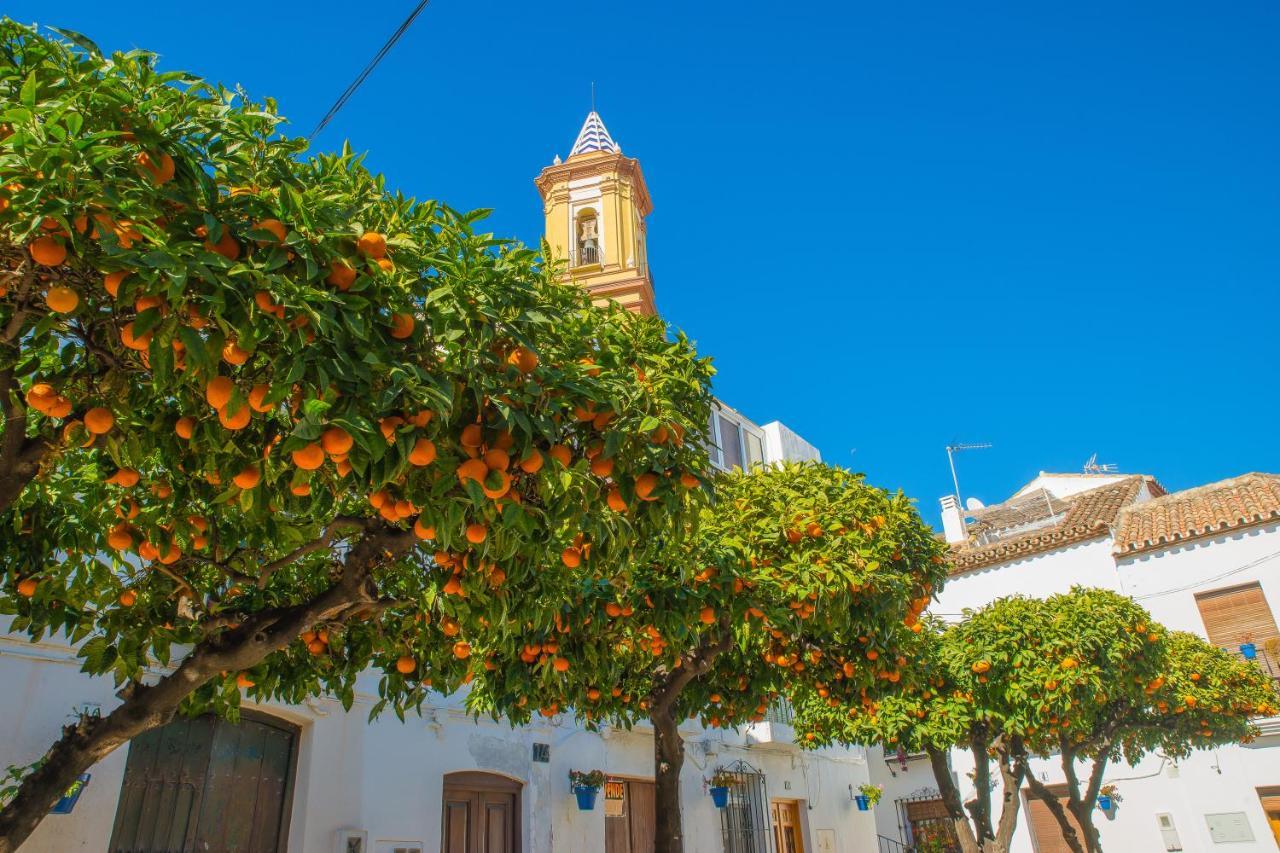 Escape To Estepona Zewnętrze zdjęcie
