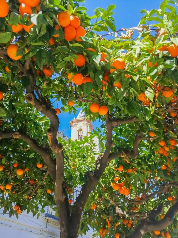 Escape To Estepona Zewnętrze zdjęcie